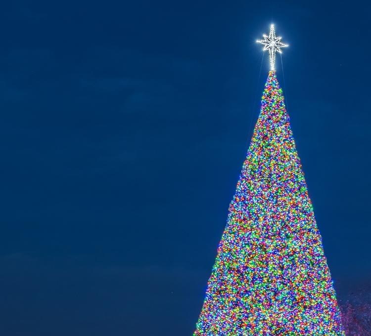 Holiday Lights Kennywood